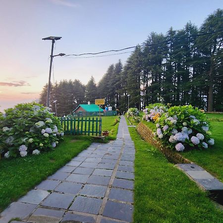 Forest Vibes Kalatop-Rooms And Restaurant دالهوزي المظهر الخارجي الصورة