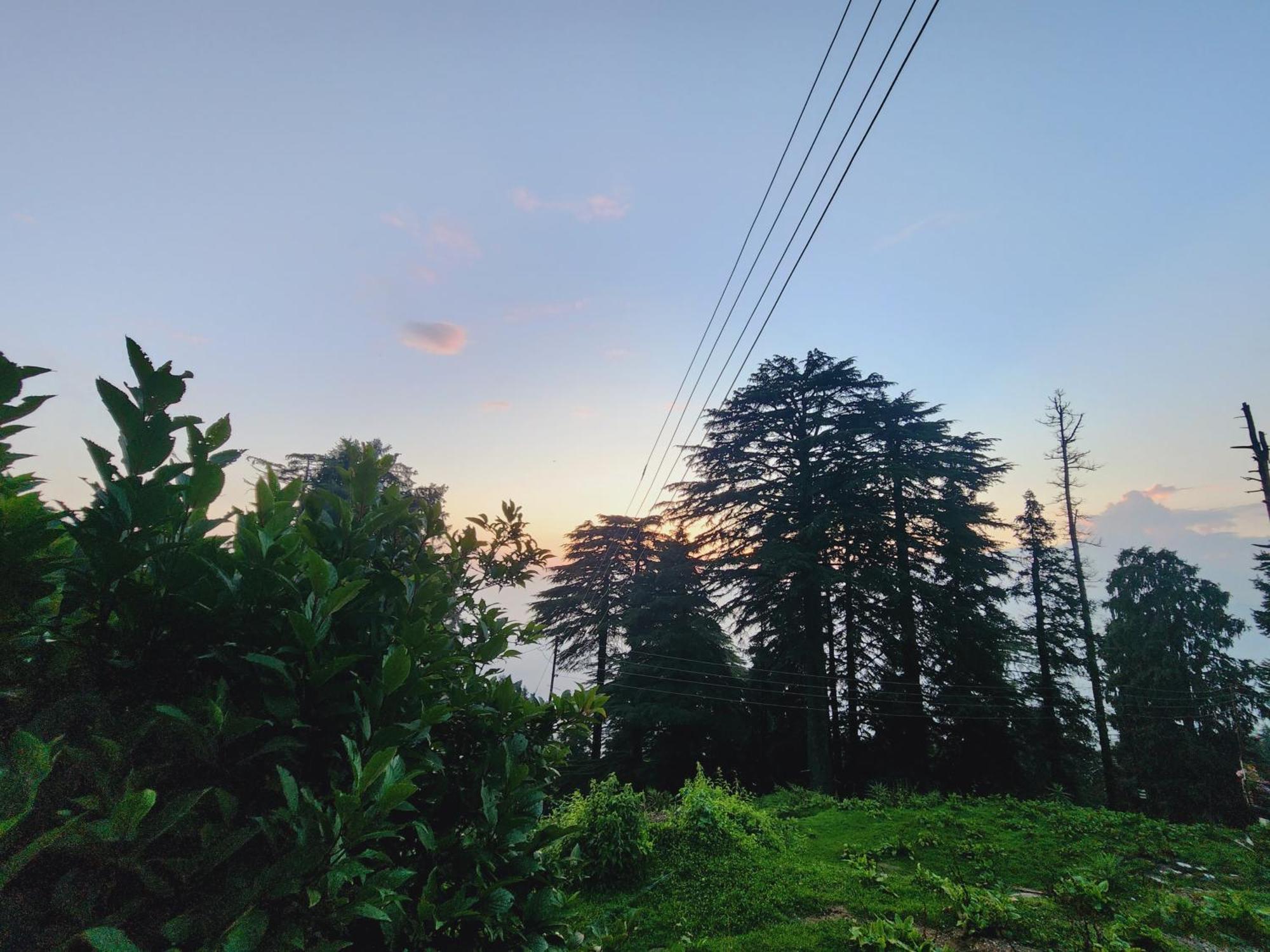 Forest Vibes Kalatop-Rooms And Restaurant دالهوزي المظهر الخارجي الصورة