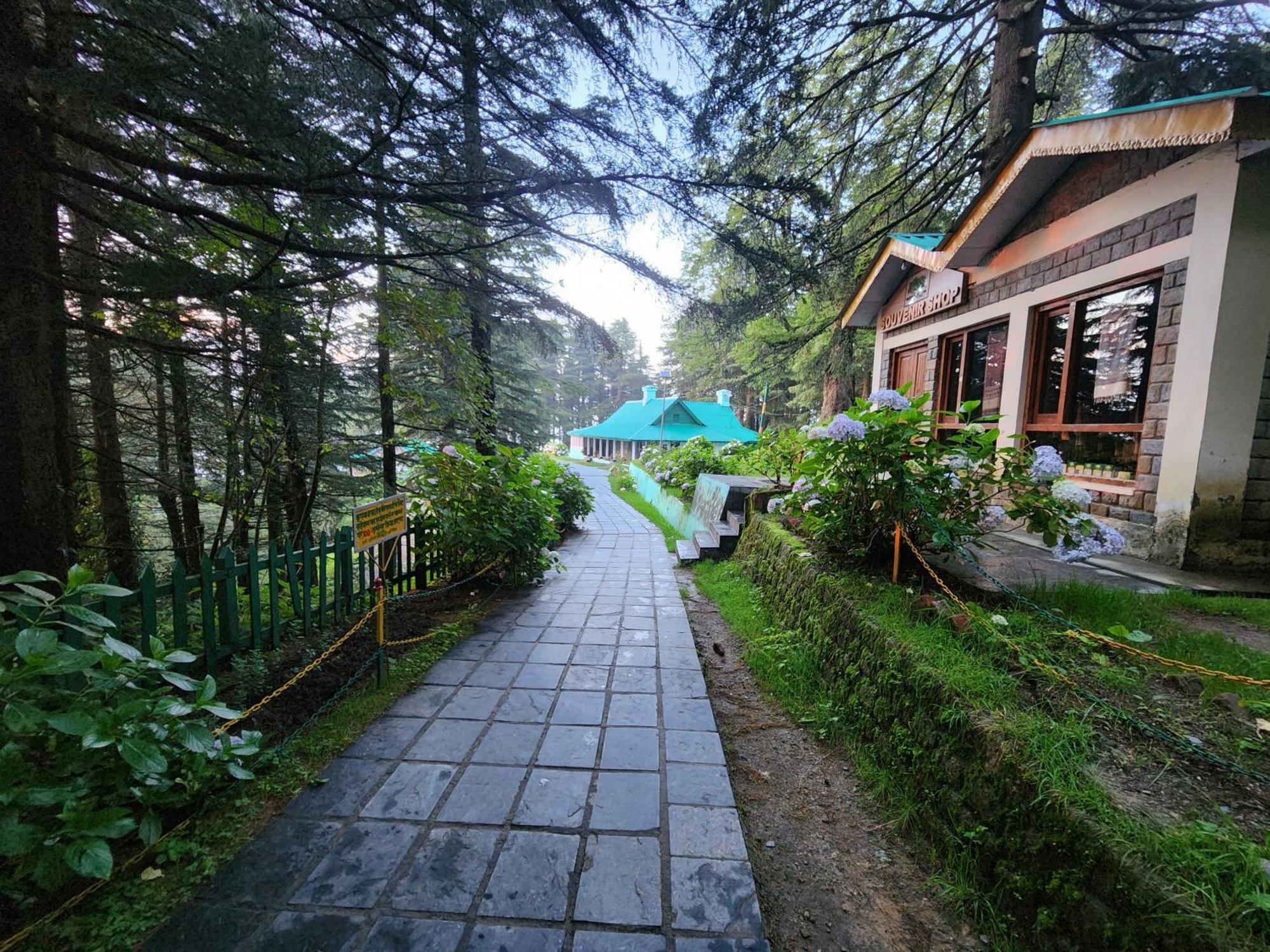 Forest Vibes Kalatop-Rooms And Restaurant دالهوزي المظهر الخارجي الصورة