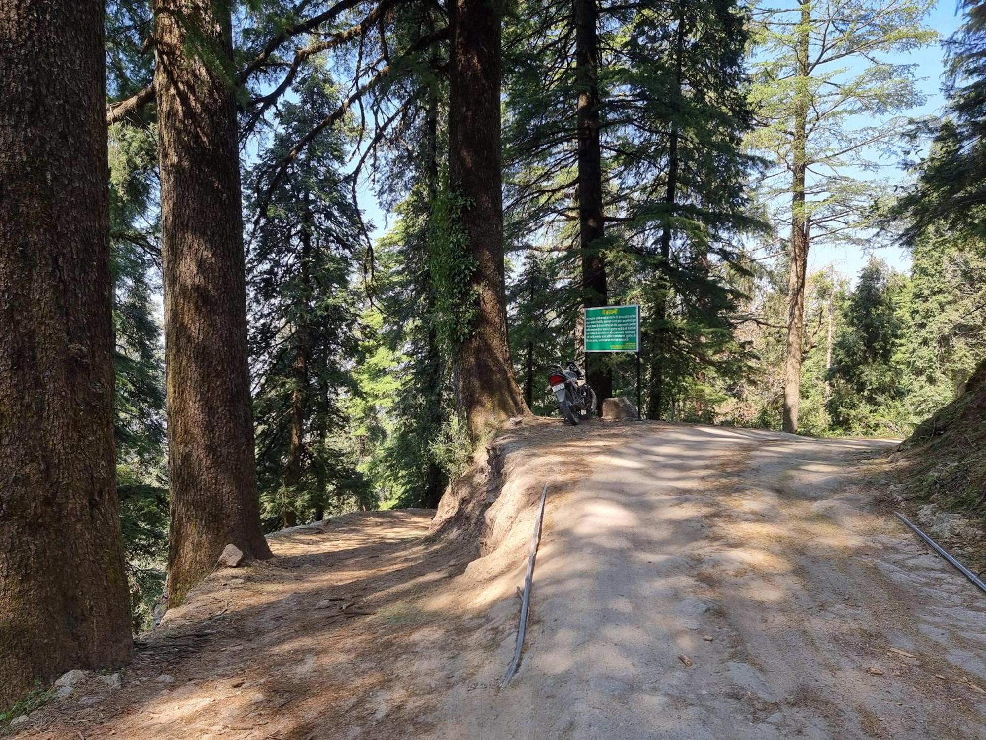 Forest Vibes Kalatop-Rooms And Restaurant دالهوزي المظهر الخارجي الصورة