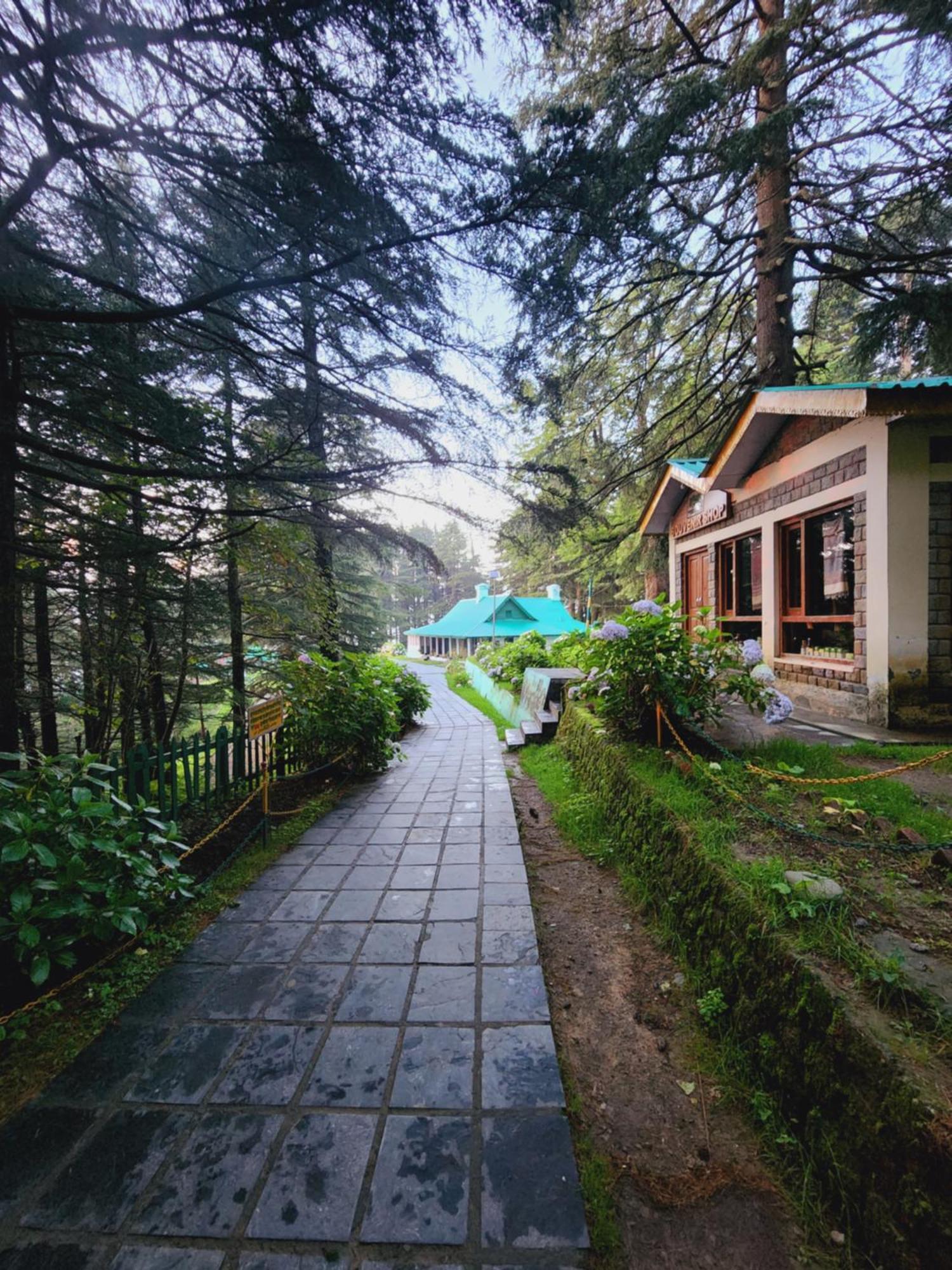 Forest Vibes Kalatop-Rooms And Restaurant دالهوزي المظهر الخارجي الصورة