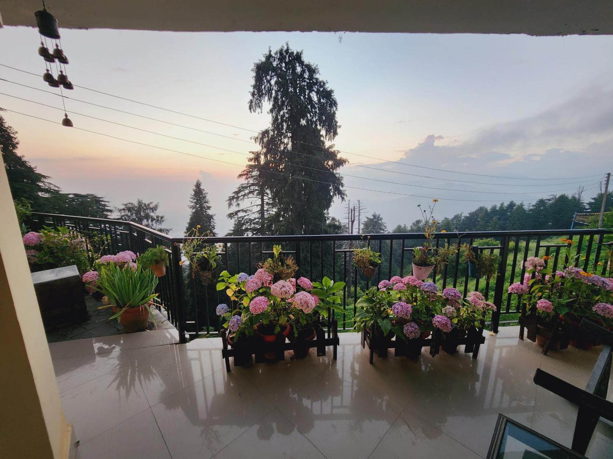 Forest Vibes Kalatop-Rooms And Restaurant دالهوزي المظهر الخارجي الصورة